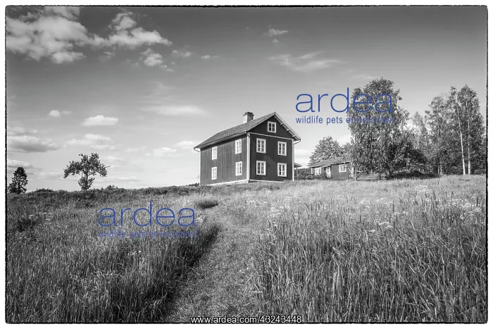 : Sweden, Varmland, Marbacka, estate of first female : Sweden, Varmland, Marbacka, estate of first female