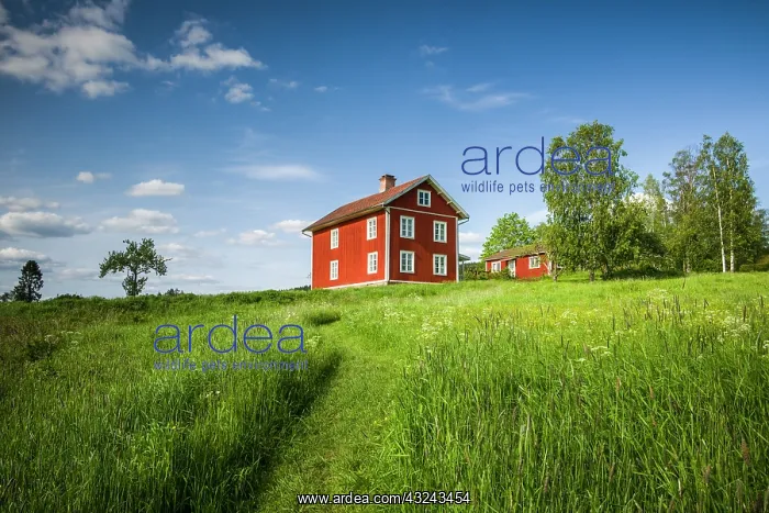  : Sweden, Varmland, Marbacka, estate of first female