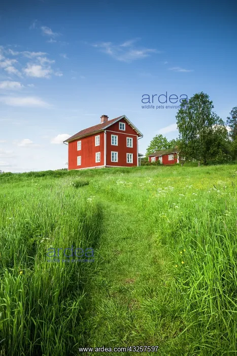 : Sweden, Varmland, Marbacka, estate of first female : Sweden, Varmland, Marbacka, estate of first female