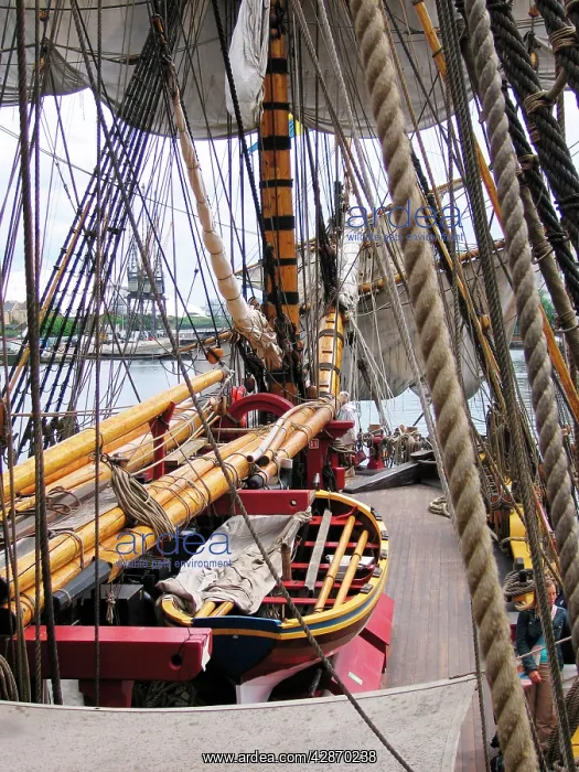  : The Swedish Ship Gotheborg - ropes  /  rigging