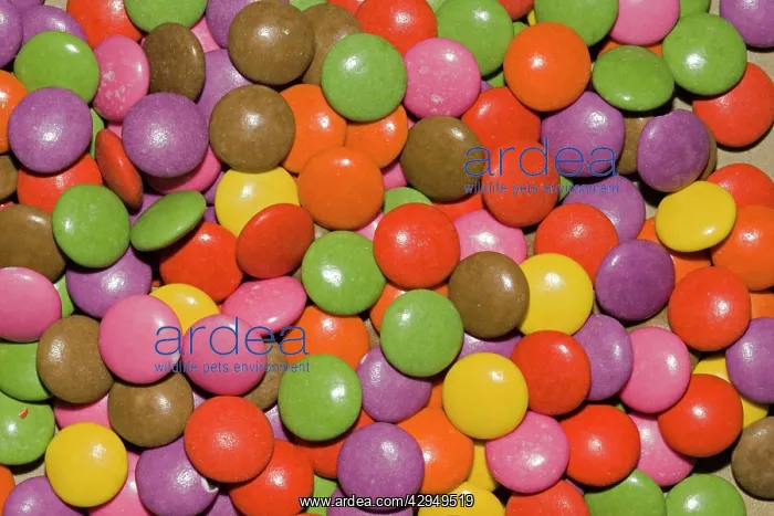 : Sweets - close-up of group of colourful circular smarties : Sweets - close-up of group of colourful circular smarties