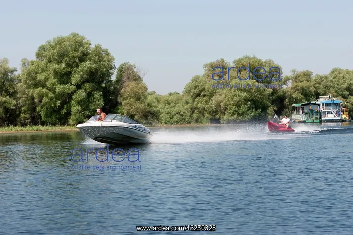 : Swimming holes and fun sport in the Danube : Swimming holes and fun sport in the Danube