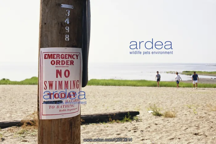 : No Swimming Due to Pollution, West Haven, CT : No Swimming Due to Pollution, West Haven, CT