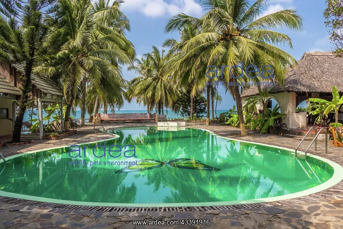 : Swimming pool in tropical resort with palm trees : Swimming pool in tropical resort with palm trees