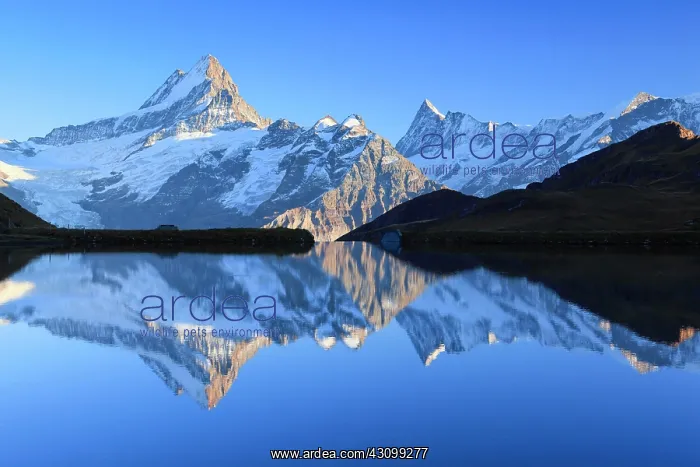 : Swiss Alps, Schreckhorn, 4078 m, Finsteraarhorn : Swiss Alps, Schreckhorn, 4078 m, Finsteraarhorn
