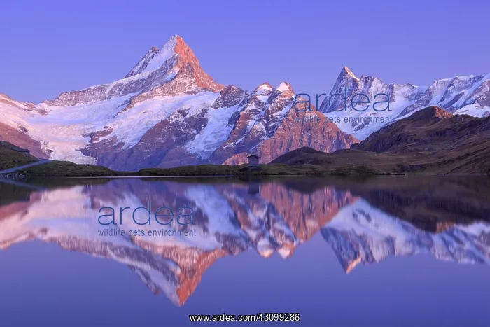  : Swiss Alps, Schreckhorn, 4078 m, Finsteraarhorn