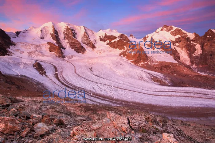 : Swiss Alps, View from the Diavolezza, 2978 m, Dawn : Swiss Alps, View from the Diavolezza, 2978 m, Dawn