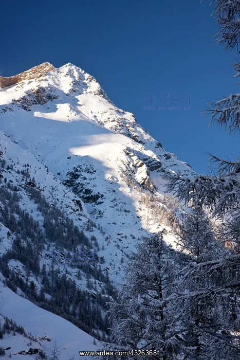 : Swiss Alps above the village of Zermatt : Swiss Alps above the village of Zermatt