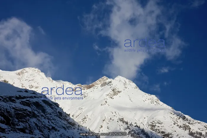 : Swiss Alps above the village of Zermatt : Swiss Alps above the village of Zermatt