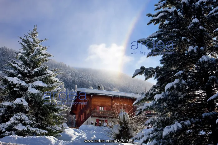 : Swiss chalet in the mountains above Zermatt : Swiss chalet in the mountains above Zermatt