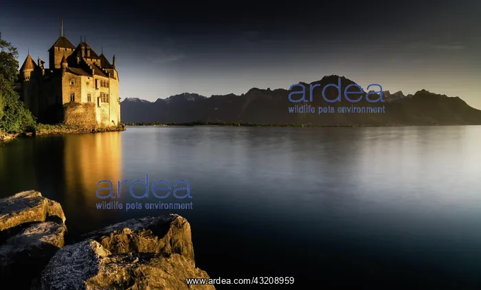 : Switzerland - 31 May 2019: the historic Chillon : Switzerland - 31 May 2019: the historic Chillon