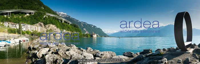 : Switzerland - 31 May 2019: panorama landscape of : Switzerland - 31 May 2019: panorama landscape of