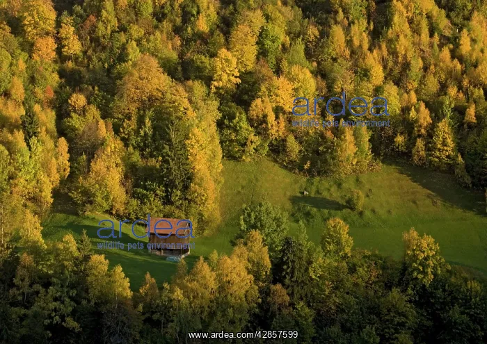 : Switzerland - Autumn in the swiss alps. Old barn : Switzerland - Autumn in the swiss alps. Old barn