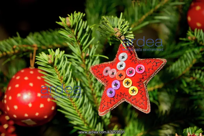: Switzerland, Basel. Basel Winter Holiday : Switzerland, Basel. Basel Winter Holiday