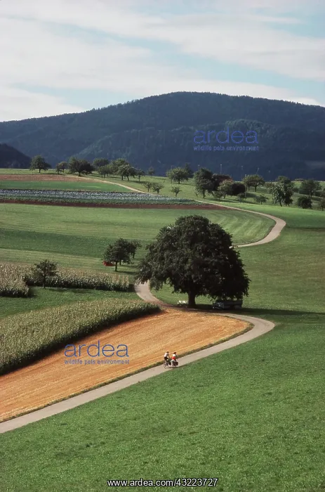 : Switzerland, Jura Mountains (Large format : Switzerland, Jura Mountains (Large format