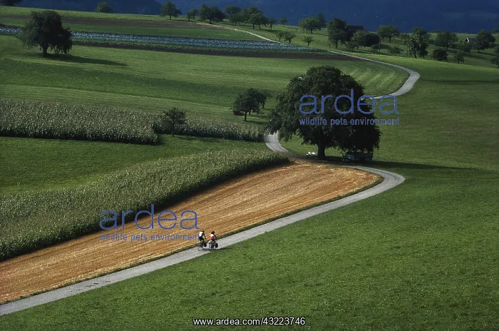 : Switzerland, Jura Mountains (Large format : Switzerland, Jura Mountains (Large format