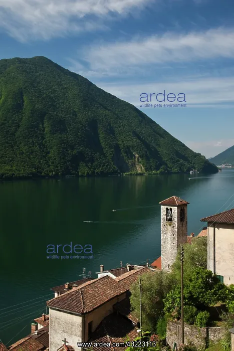 : Switzerland, Ticino Canton, Gandria. Town : Switzerland, Ticino Canton, Gandria. Town