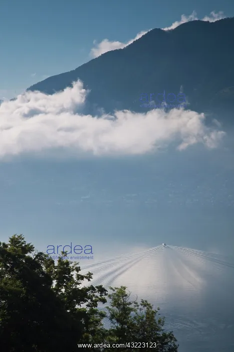 : Switzerland, Ticino Canton, Locarno. High : Switzerland, Ticino Canton, Locarno. High