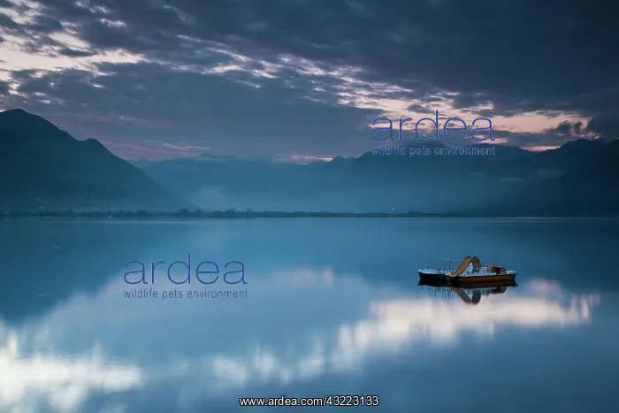  : Switzerland, Ticino Canton, Locarno. Lakefront