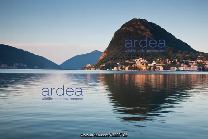 : Switzerland, Ticino Canton, Lugano. Lakefront : Switzerland, Ticino Canton, Lugano. Lakefront
