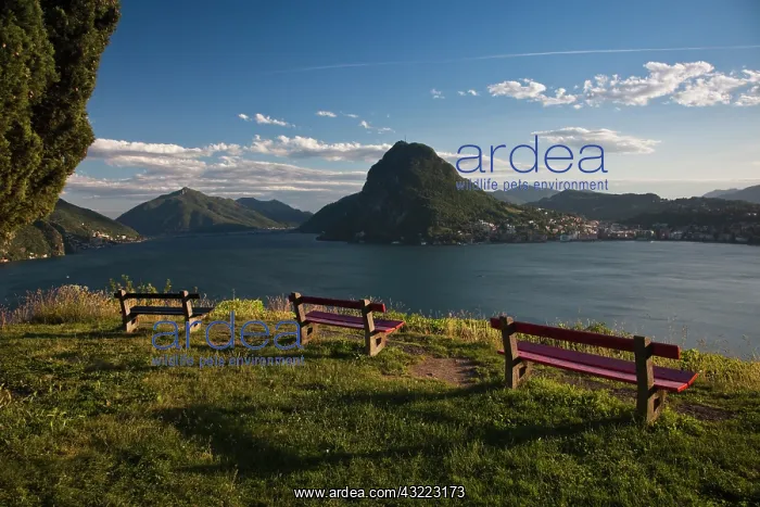 : Switzerland, Ticino Canton, Lugano. Parco : Switzerland, Ticino Canton, Lugano. Parco