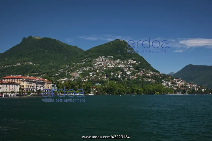 : Switzerland, Ticino Canton, Lugano. Town : Switzerland, Ticino Canton, Lugano. Town