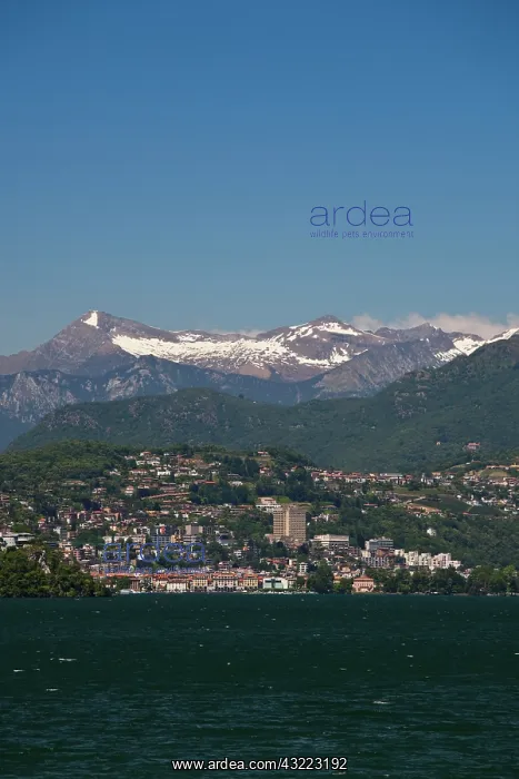 : Switzerland, Ticino Canton, Lugano. Town : Switzerland, Ticino Canton, Lugano. Town
