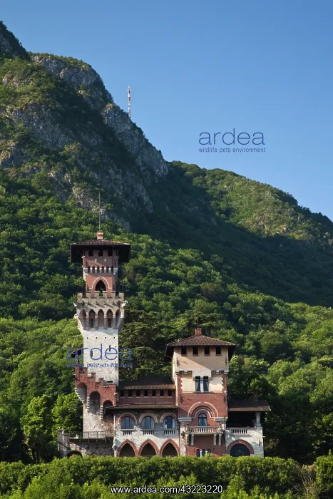 : Switzerland, Ticino Canton, Paradiso. Lakefront : Switzerland, Ticino Canton, Paradiso. Lakefront