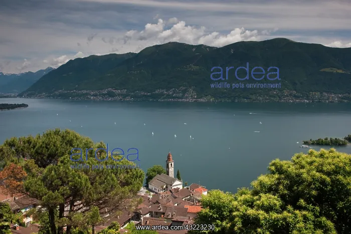 : Switzerland, Ticino Canton, Ronco. High : Switzerland, Ticino Canton, Ronco. High