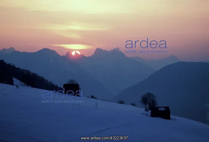 : Switzerland, Toggenburg Alps : Switzerland, Toggenburg Alps