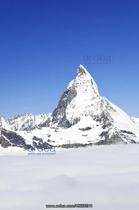 : Switzerland, View of the Matterhorn, Zermatt, Matterhorn : Switzerland, View of the Matterhorn, Zermatt, Matterhorn