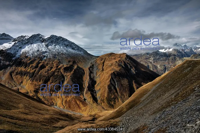: Switzerland.Furka Pass. Furka Pass. Switzerland : Switzerland.Furka Pass. Furka Pass. Switzerland