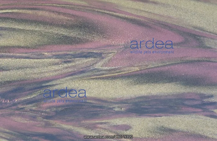 : Swooping patterns from mineral runoff : Swooping patterns from mineral runoff