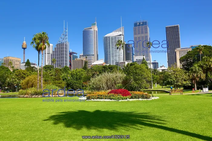  : Sydney city skyline and CBD and the Royal Botanic