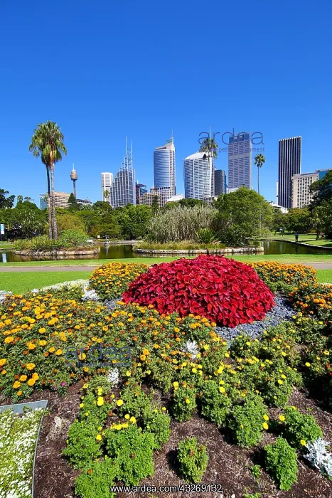 : Sydney city skyline and CBD and the Royal Botanic : Sydney city skyline and CBD and the Royal Botanic