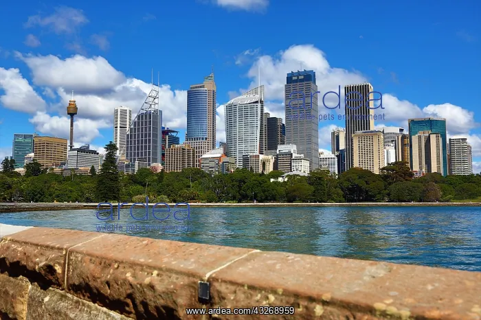 : Sydney city skyline and CBD, Sydney, New South Wales : Sydney city skyline and CBD, Sydney, New South Wales