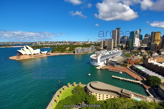 : Sydney city skyline, harbour, Opera House and a : Sydney city skyline, harbour, Opera House and a