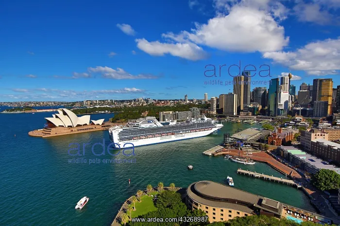 : Sydney city skyline, harbour, Opera House and a : Sydney city skyline, harbour, Opera House and a