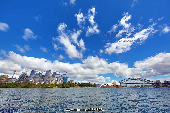 : Sydney Harbour showing the city skyline, Sydney : Sydney Harbour showing the city skyline, Sydney