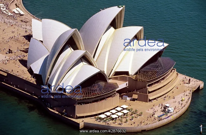 : Sydney Opera House from the air Sydney : Sydney Opera House from the air Sydney