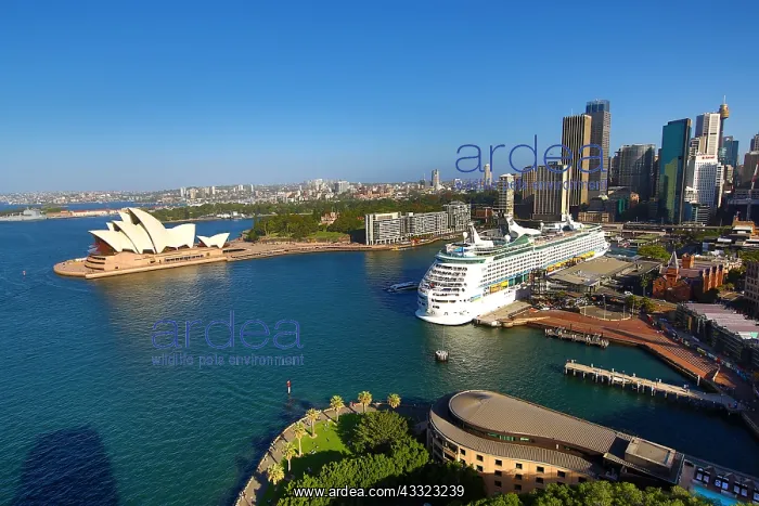 : Sydney Opera House and a cruise ship, Sydney, New : Sydney Opera House and a cruise ship, Sydney, New