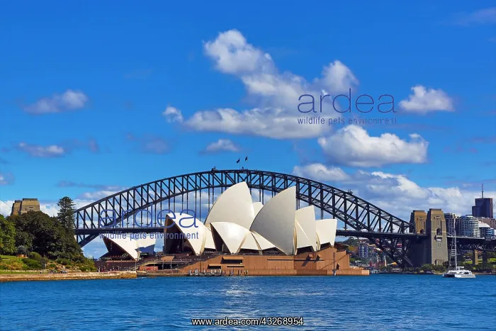 : Sydney Opera House and Harbour Bridge, Sydney, New : Sydney Opera House and Harbour Bridge, Sydney, New