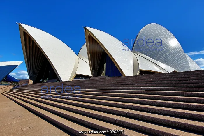 : Sydney Opera House, Sydney, New South Wales, Australia : Sydney Opera House, Sydney, New South Wales, Australia