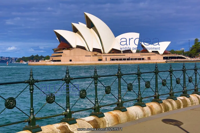 : Sydney Opera House, Sydney, New South Wales, Australia : Sydney Opera House, Sydney, New South Wales, Australia