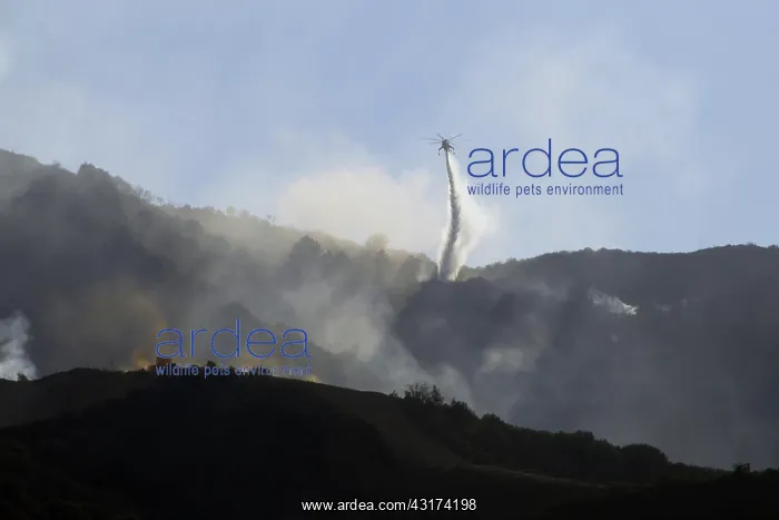 : Sylmar Wildfire : Sylmar Wildfire