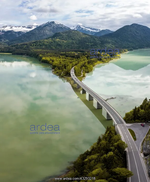 : Sylvenstein lake and Faller-Klamm bridge, Sylvenstein : Sylvenstein lake and Faller-Klamm bridge, Sylvenstein