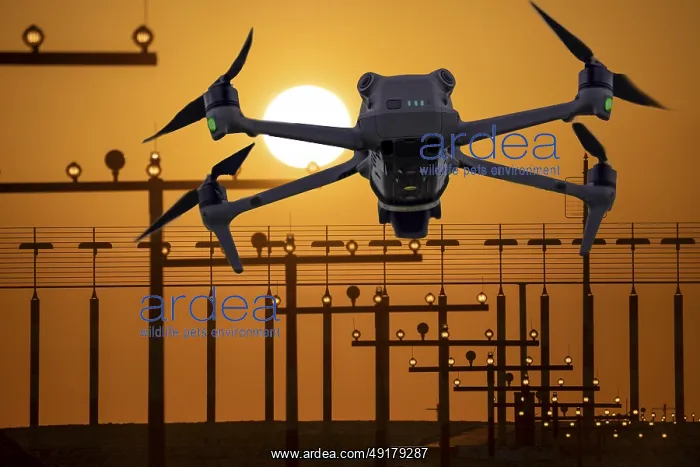 : Symbolic image, photomontage, reconnaissance : Symbolic image, photomontage, reconnaissance