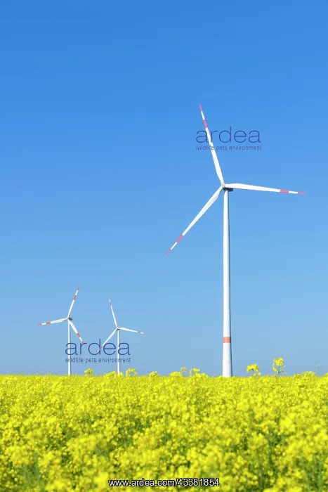  : Symbolic image wind energy, energy transition, wind