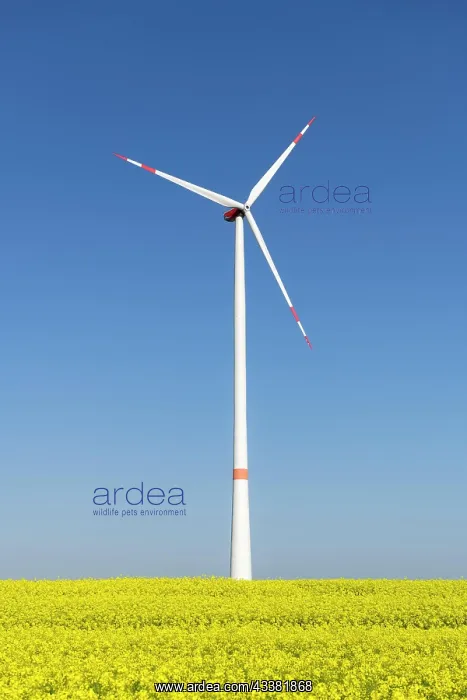  : Symbolic image wind energy, energy transition, wind