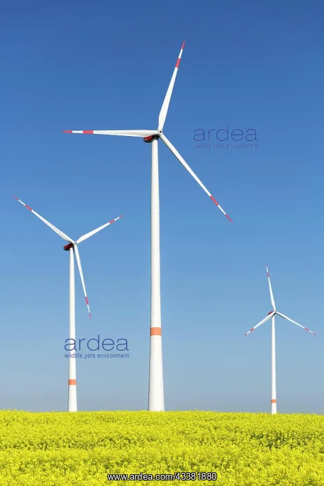  : Symbolic image wind energy, energy transition, wind